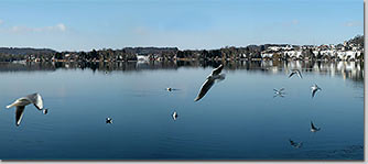 010203Birkenwegweb3thumb