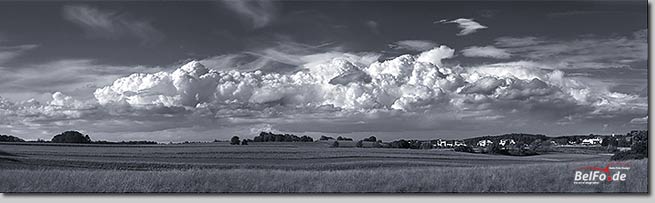 pan5748_51webduplexthumb